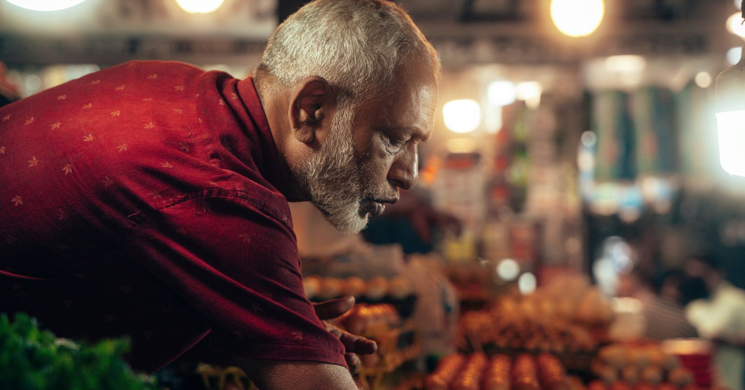 Maintaining a Youthful Gut Microbiome Can Slow Aging