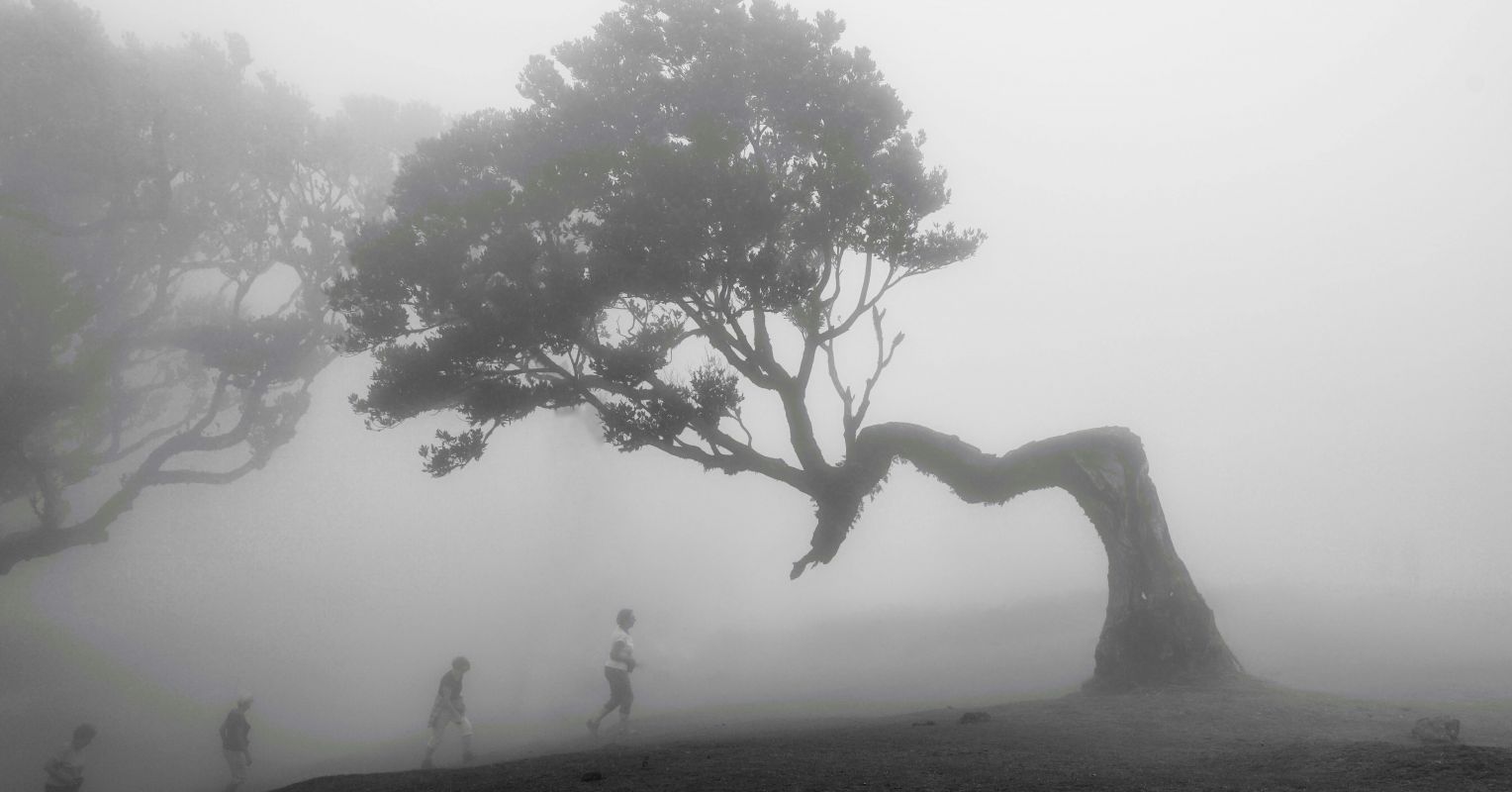 The Digital Savanna | Psychology Today