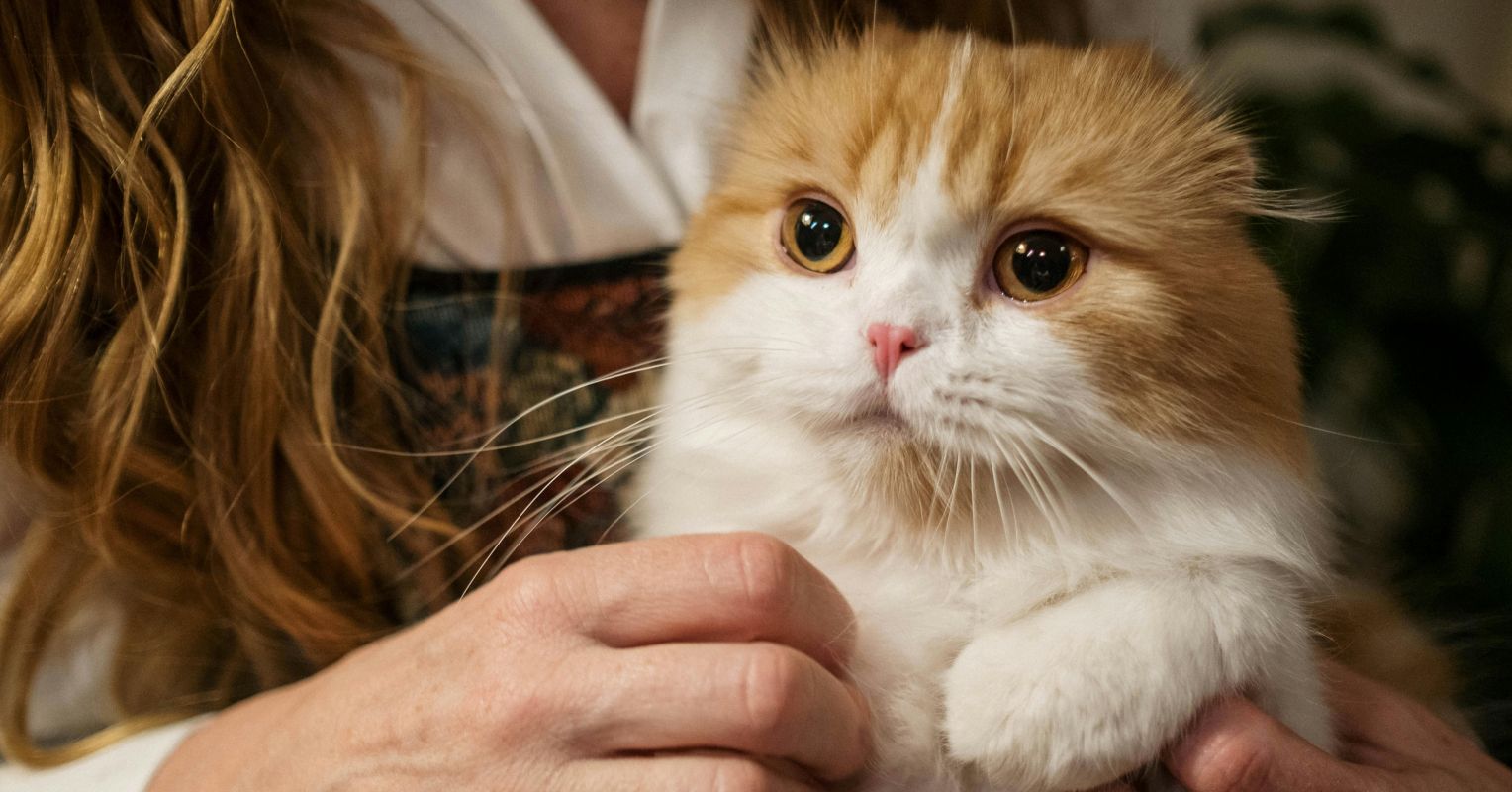 Do Pets Make Their Owners Happy? New Study Says They Do Not