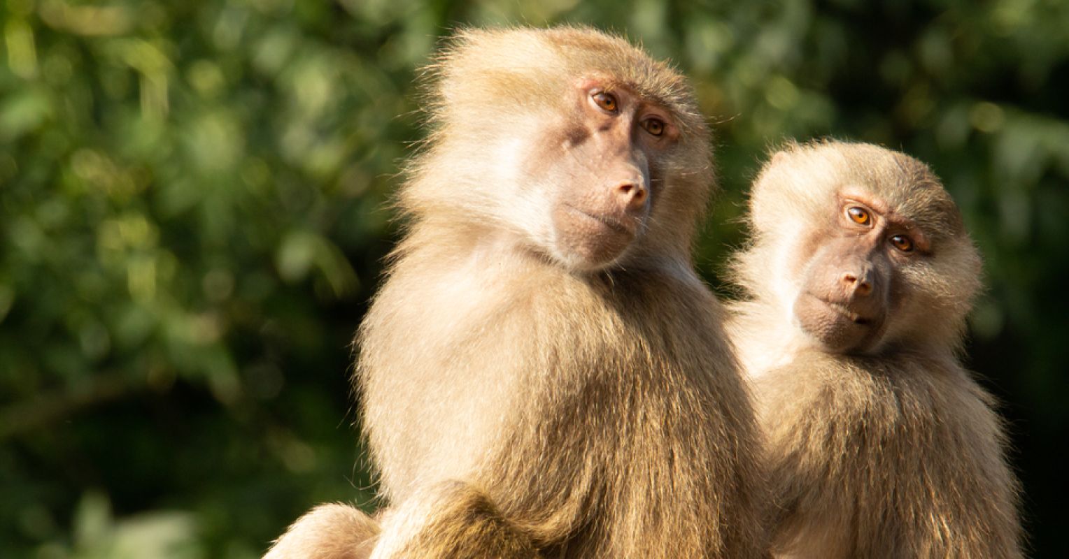 Why We Resist Uncertainty and How to Get Better at It Psychology Today