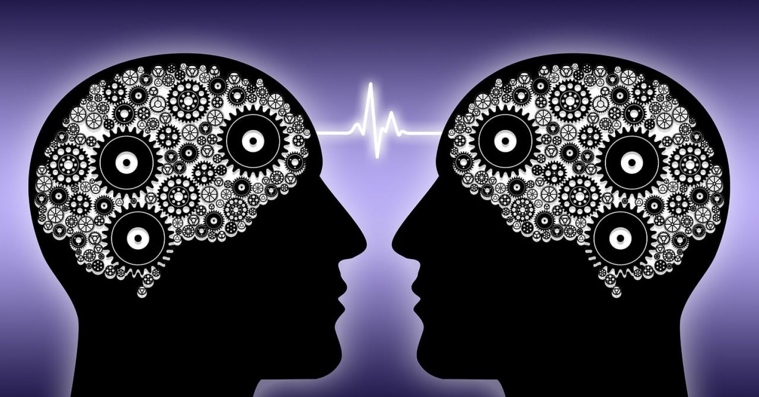 When Two Brains Meet