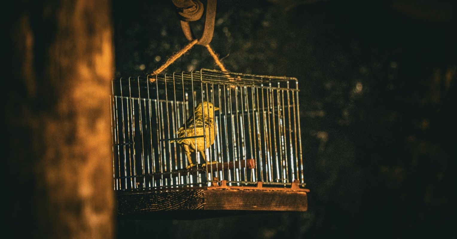 Escaping the Tragedy of the Separating Mind