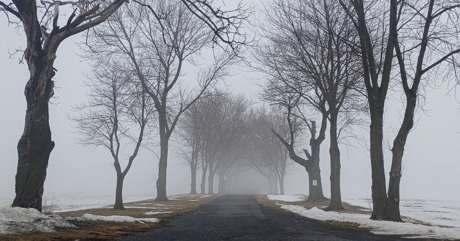 Why We Fear Being Forgotten