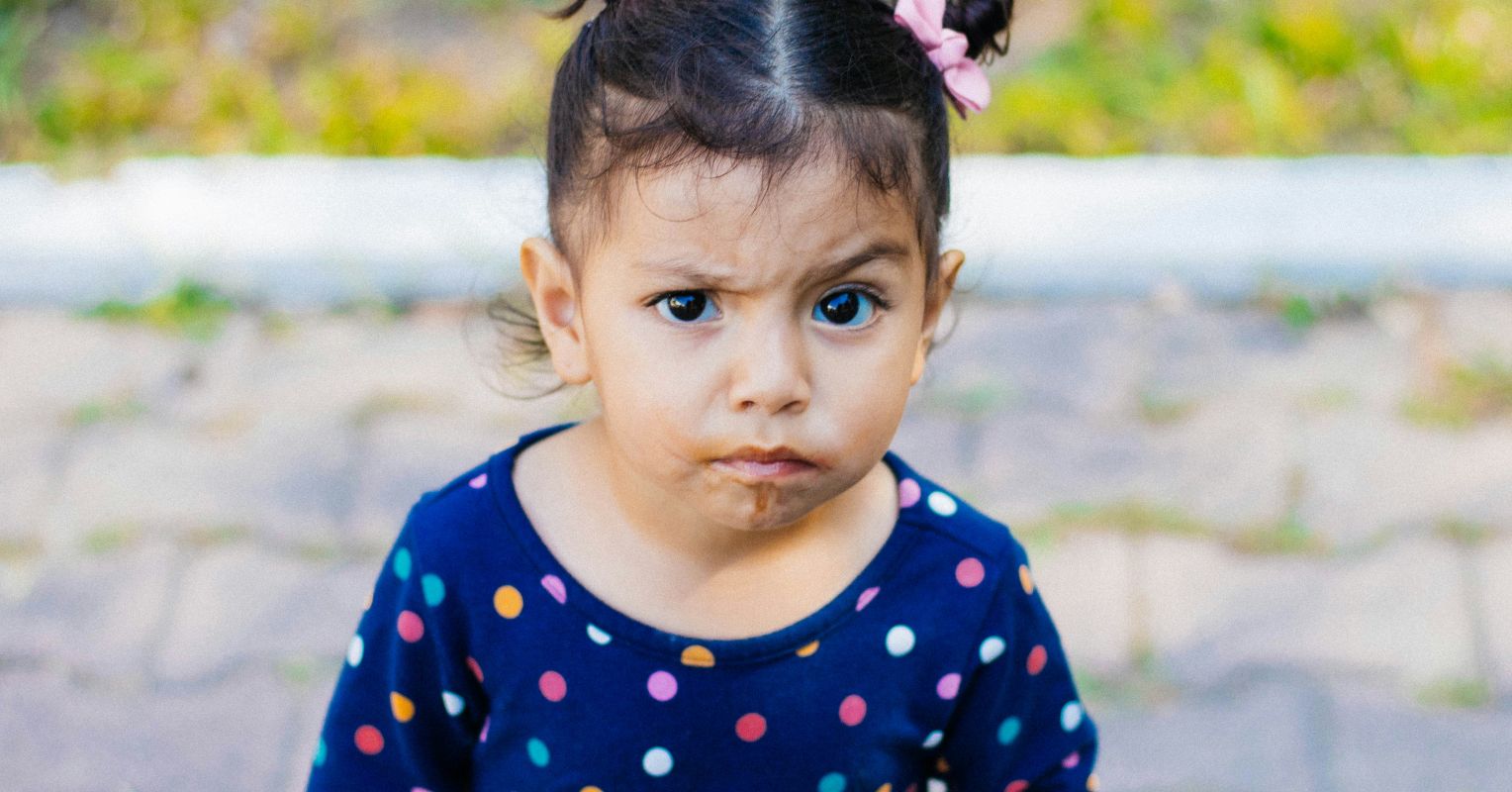 Understanding Childhood Dysregulation Profile