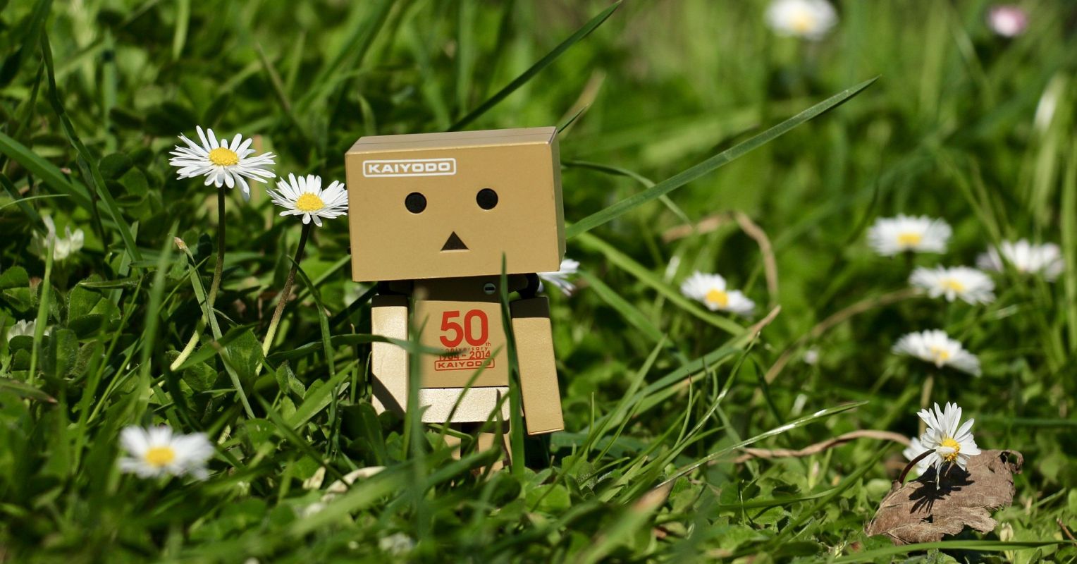 The Perfectionist’s Quest for a Love Without Limits The Perfectionist’s Quest for a Love Without Limits