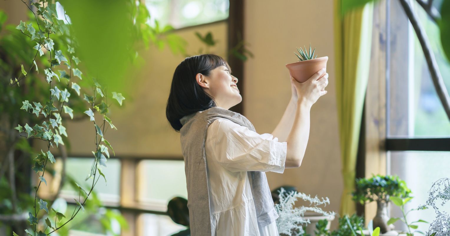 What Plants Can Teach Humans About Boundaries