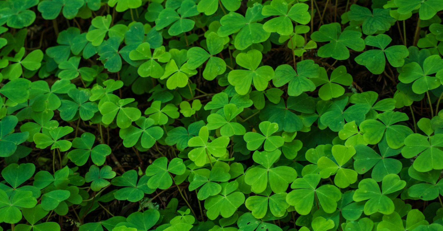 Creating Our Own Luck: 4 Ideas for Taking Decisive Action