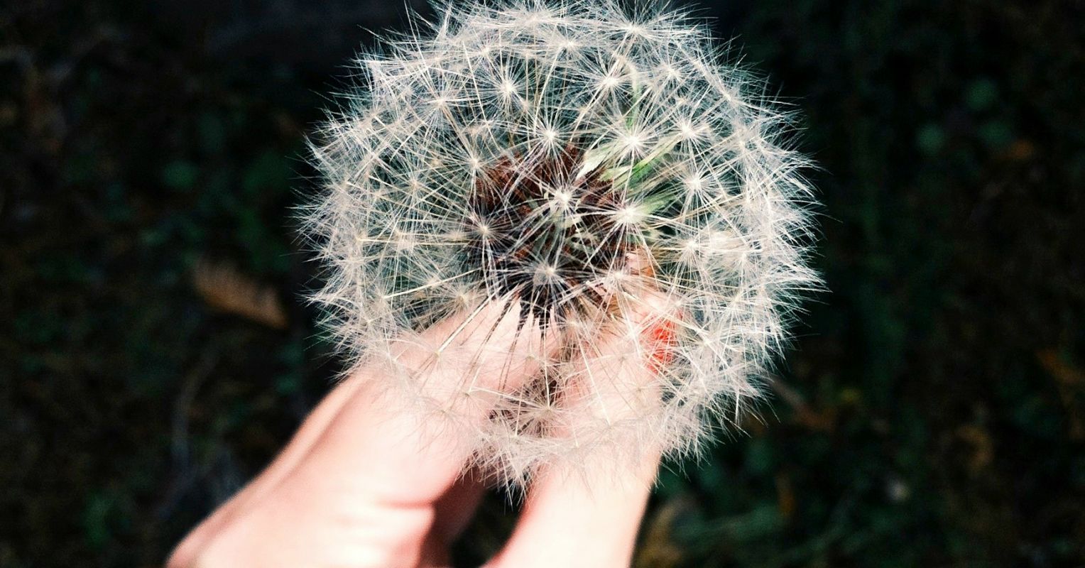 Are You Easily Offended?