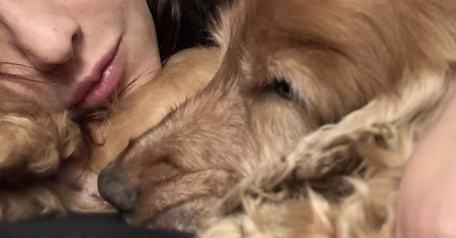 Sleeping With Your Pet: Is It Really Good for Your Sleep?