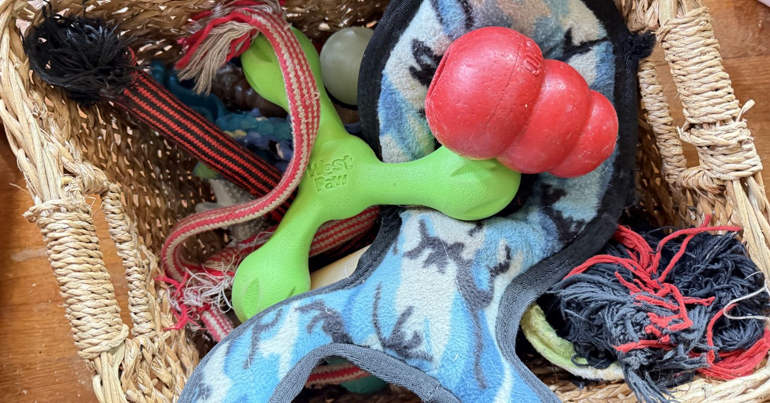 It's Spring! Time for Kids to Declutter