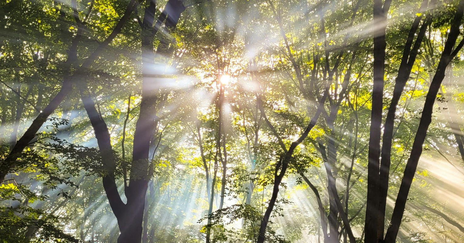 Why Your Brain Feels Off After a Day Indoors