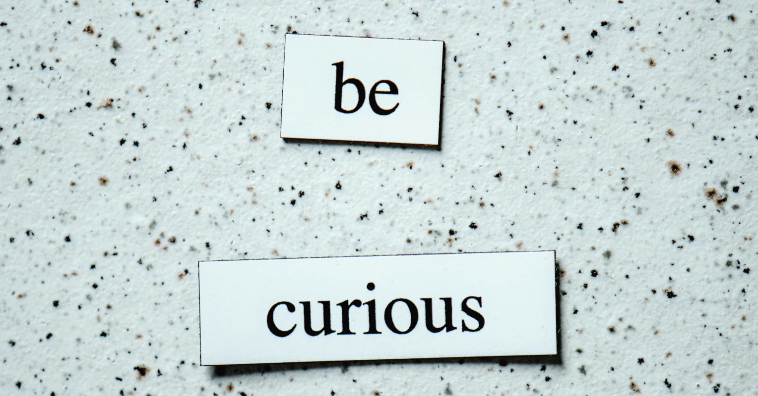 An IFS Therapy Program for PTSD: A Proof-of-Concept Study