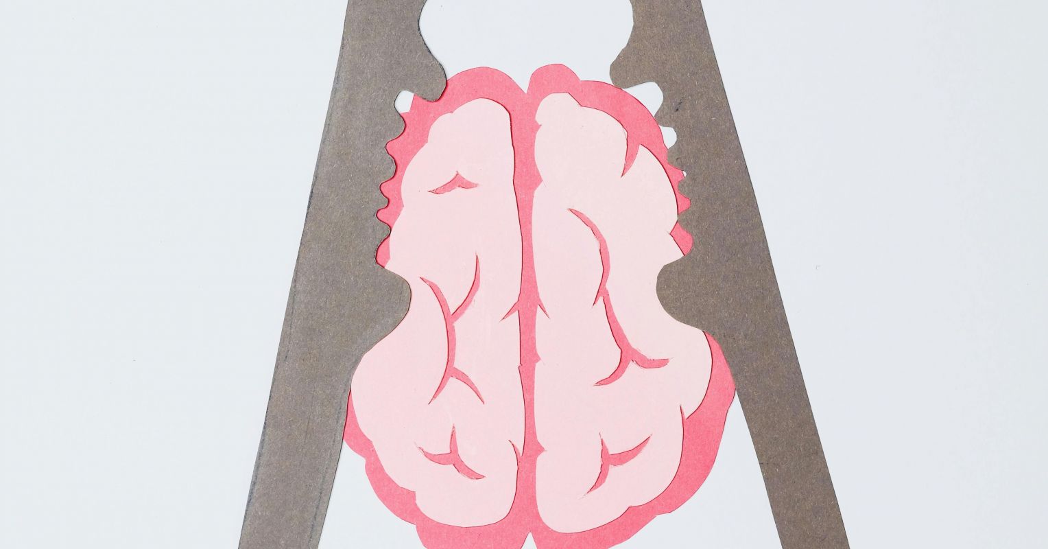 How Does the Brain Know Itself?