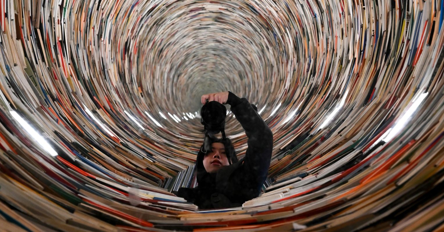 Media Capture, Misinformation, and "Noise"