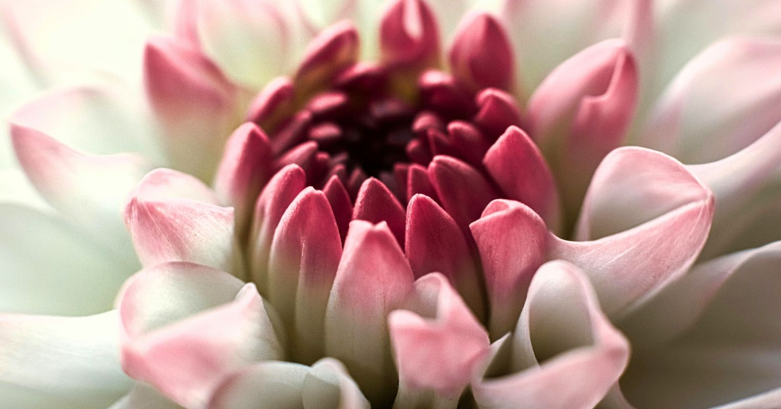 Why Bloomscrolling Could Be Good for You