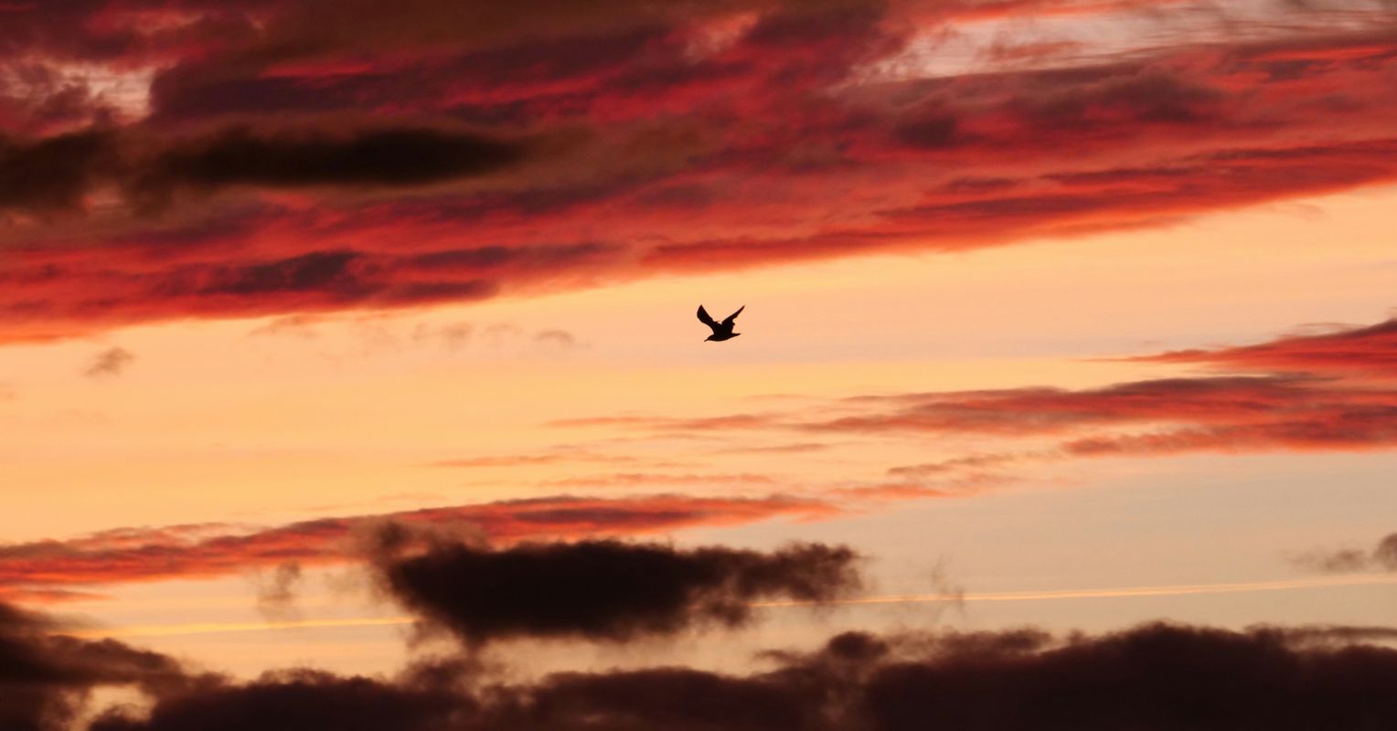 When It Feels Safer to Expect the Worst