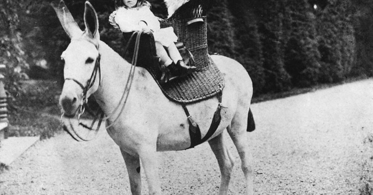 Why FDR Wore Dresses as a Child