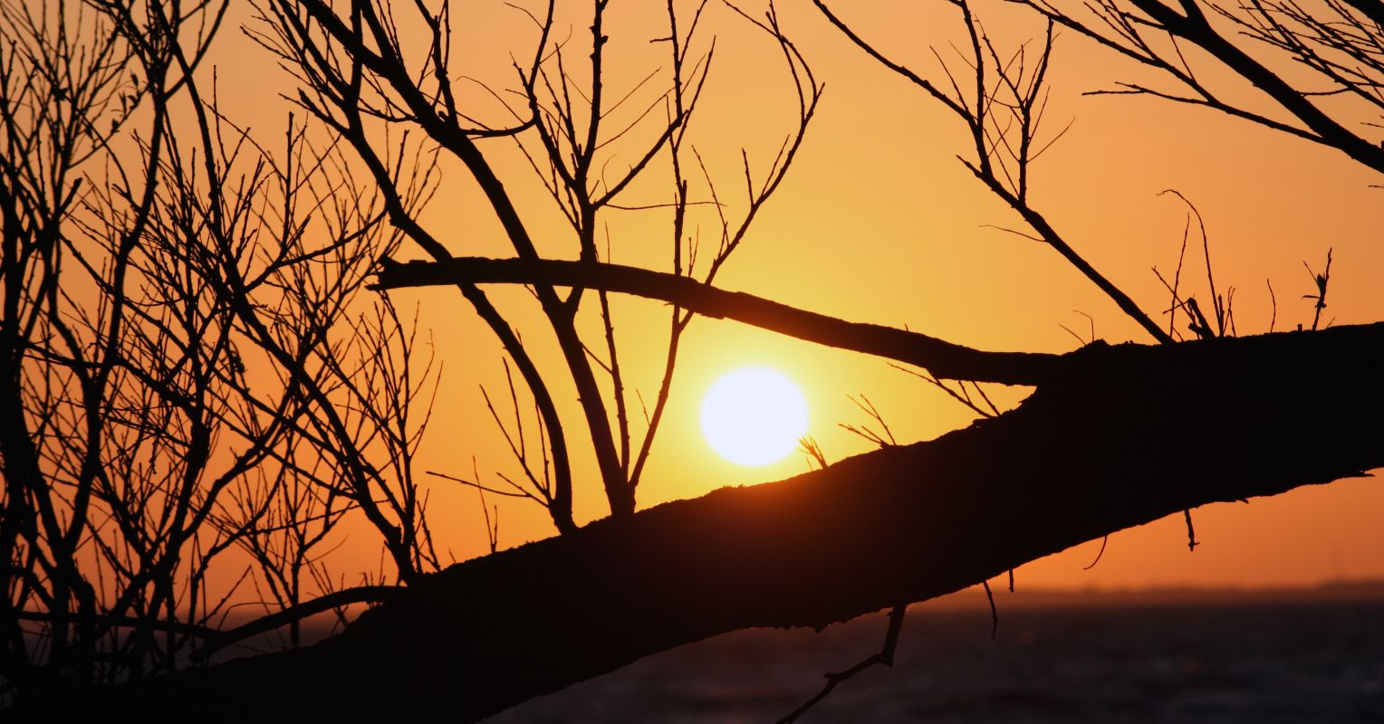How to Make the Ordinary Extraordinary | Psychology Today