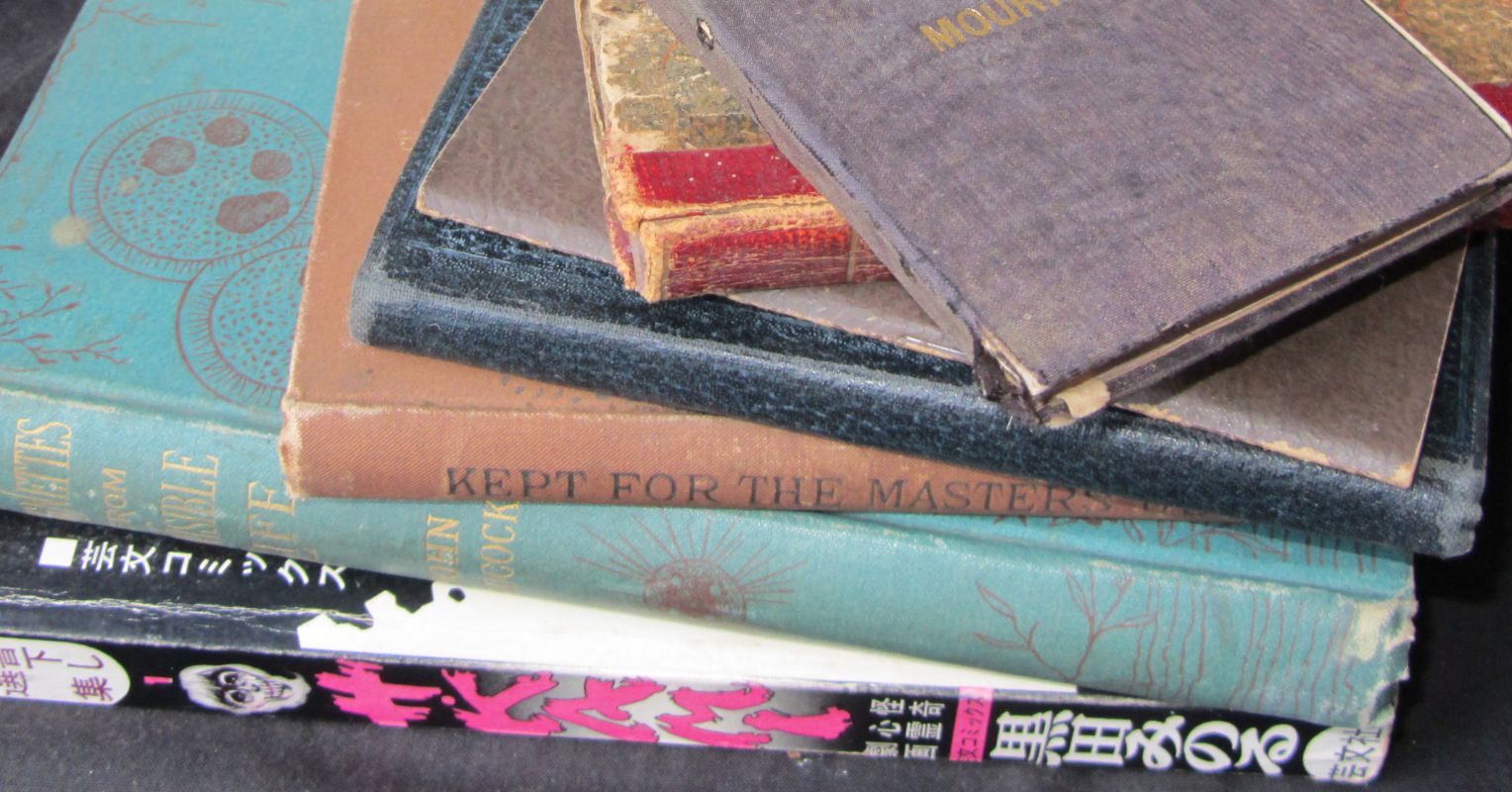 Is Reading Obscure Old Books a Bold Act of Rebellion?
