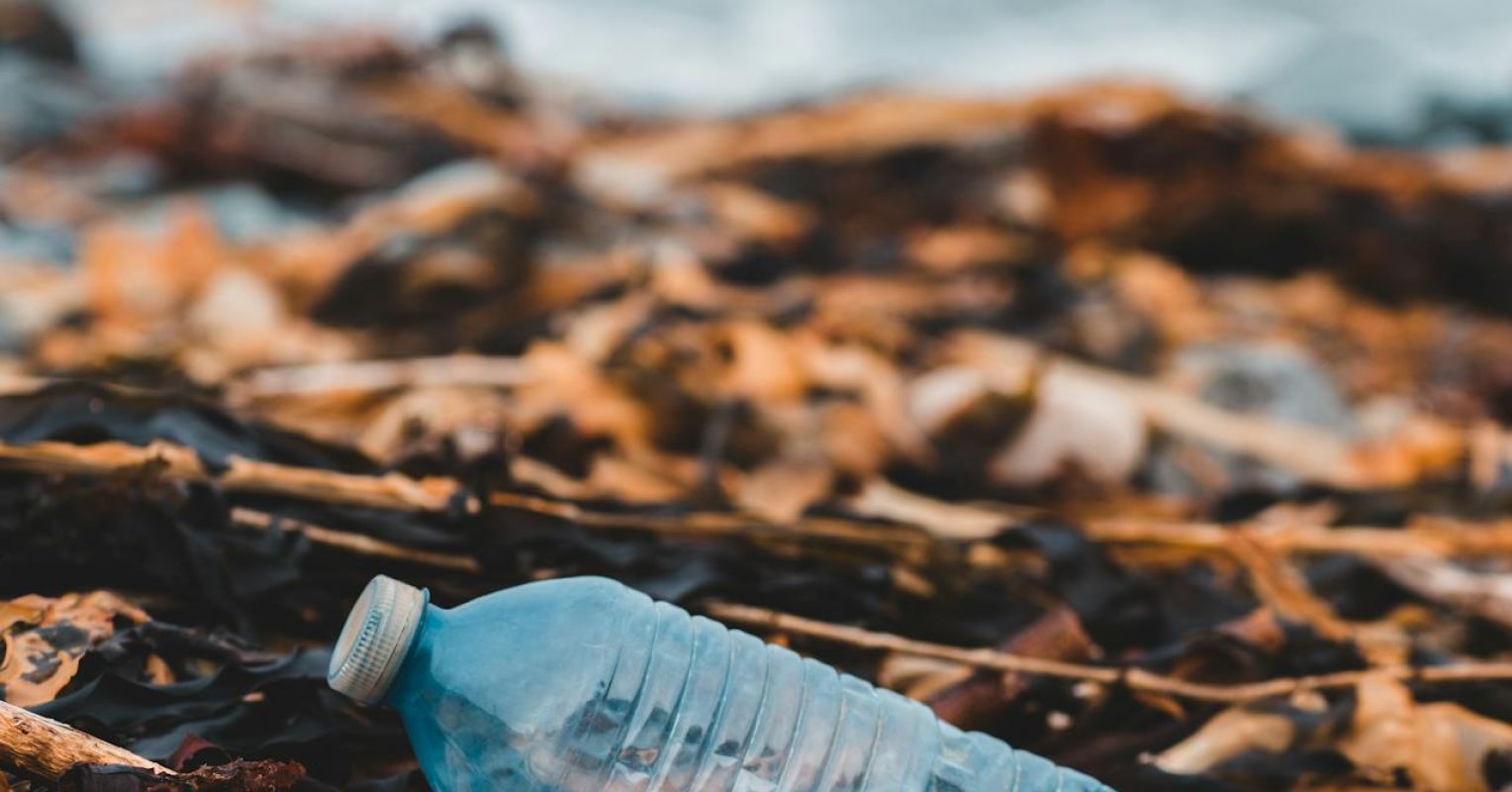 How Microplastics May Be Threatening Women's Sexual Health