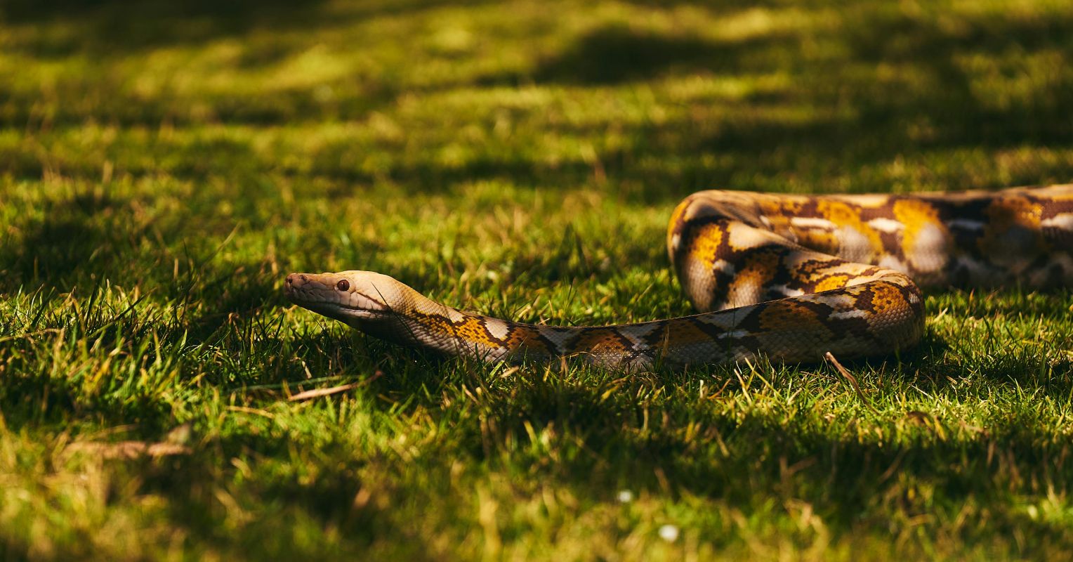 4 Ways to Identify a Nightmare (and 4 Things to Do About It)