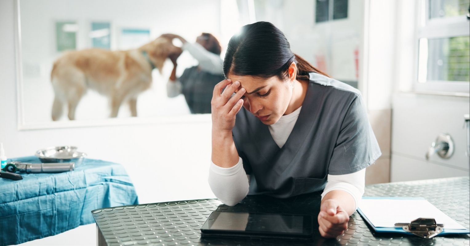 The Hidden Emotional Labor of Veterinary Medicine