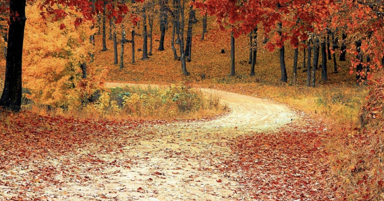 How Free Will Shapes SelfRespect and Responsibility