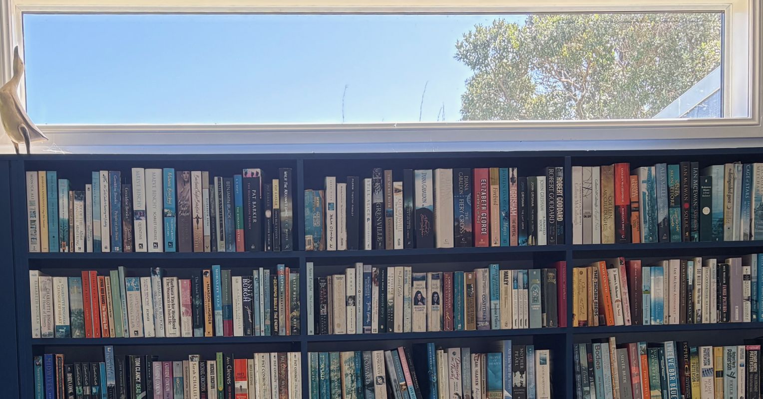 Why We Read Novels