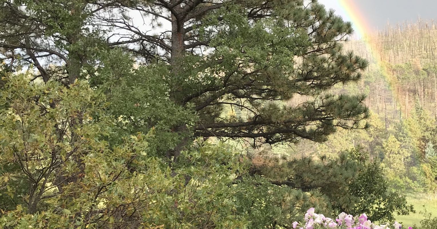 Why My Spirit Needs My Daily Photos