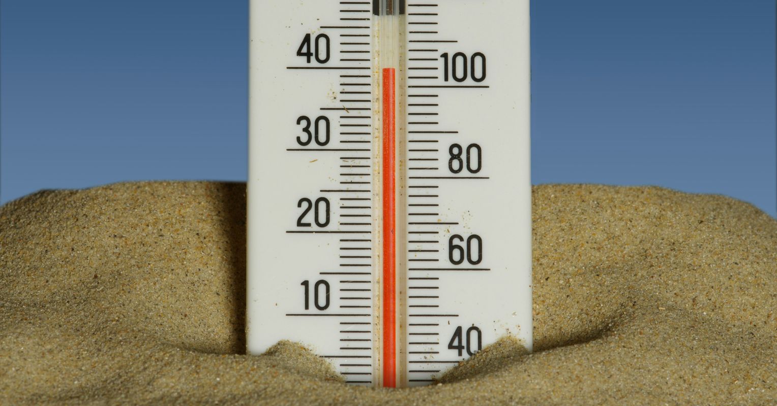 Keeping Your Cool: When Endless Summer Becomes a Stress Test