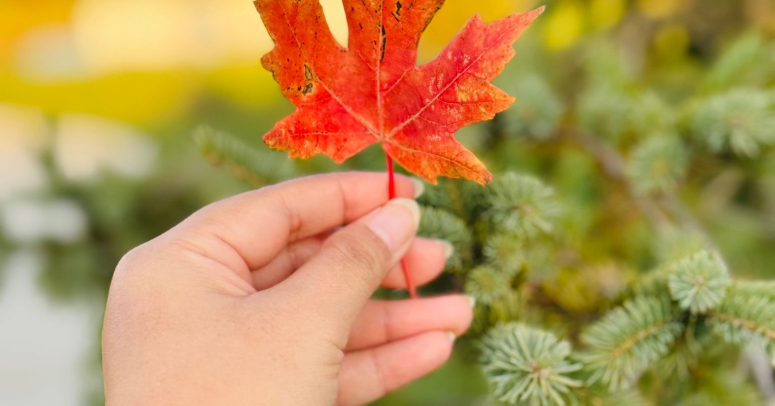 Your SAD Toolkit: Preventing Seasonal Depression This Winter