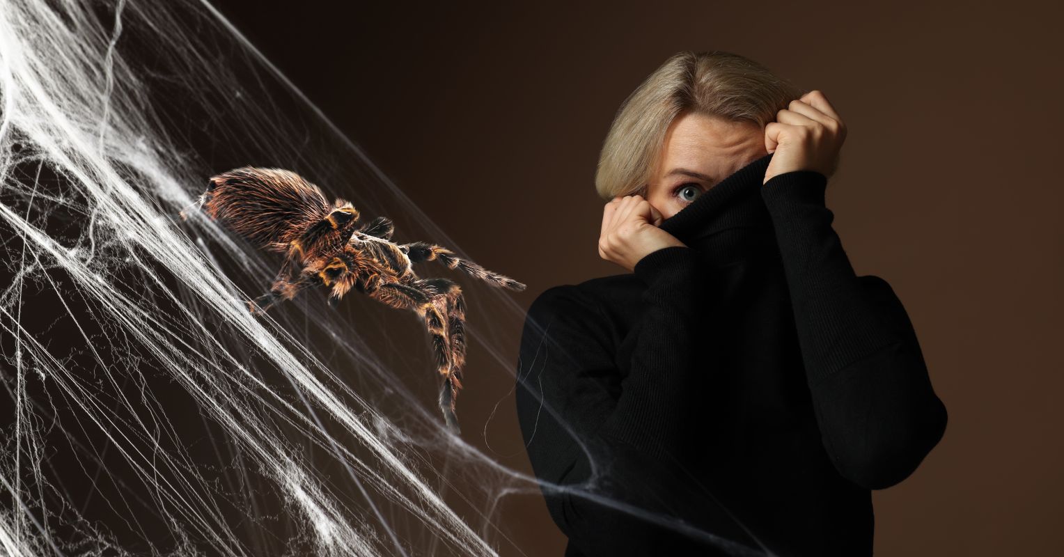 'Cobwebbing' Can Help You Move On in Dating