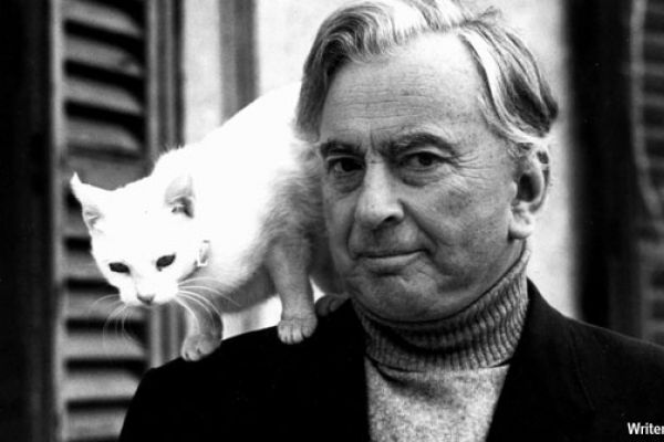 gore vidal with white cat
