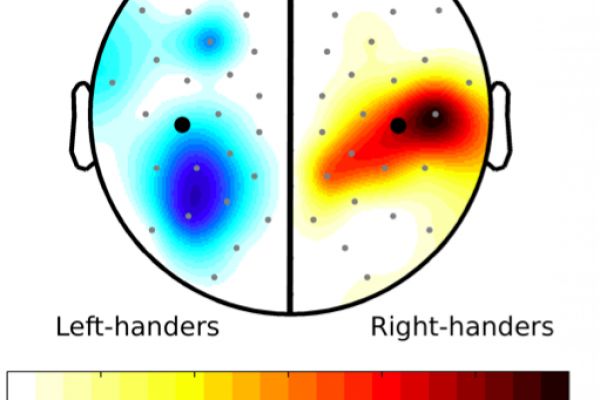 Image of EEG data showing approach motivation in right- and left-handers' brains