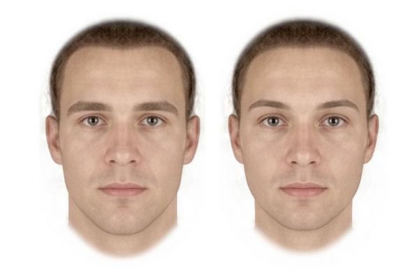 Masculinizing and feminizing face shapes reliably alters perceptions of dominance and trustworthiness.