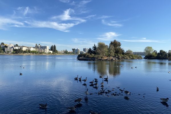 Lake Merritt, Oakland