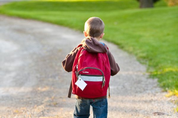 Boy in Brown Hoodie Carrying Red Backpack While Walking on Dirt Road Near Tall Trees