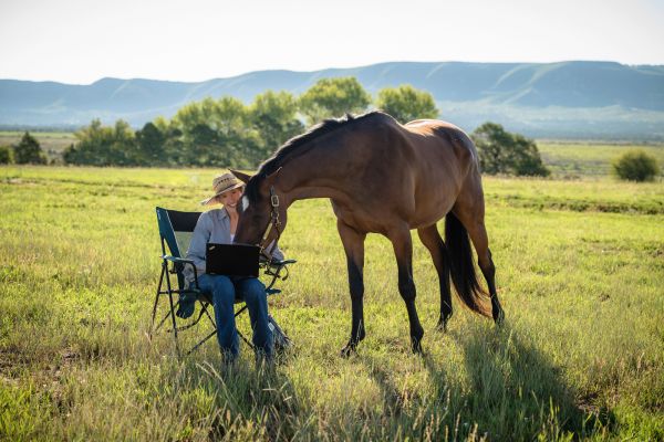 The author and her horse, considering the laptop.