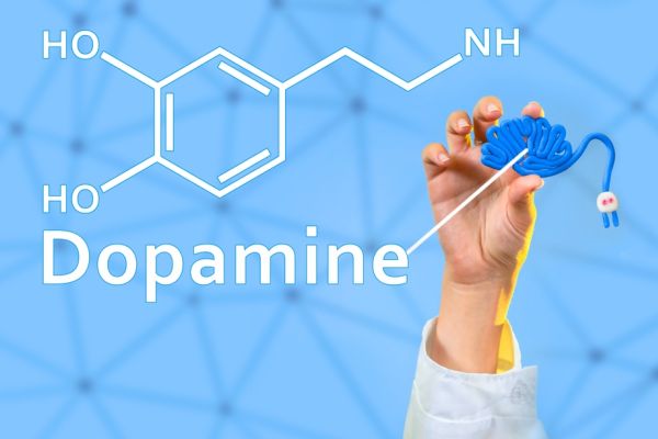 dopamine hypothesis psychology example