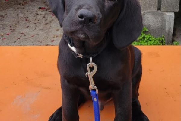 Oswald as a baby