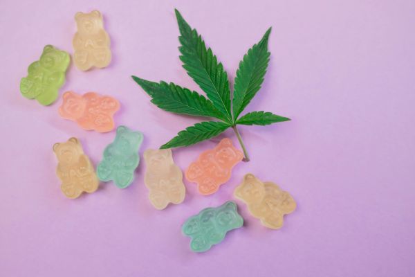 Cannabis edibles—colorful, accessible, and increasingly normalized—can mask serious risks when used during pregnancy or adolescence. As legalization grows, understanding how these products impact developing brains is more urgent than ever.