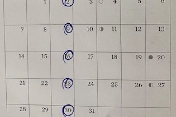 Make Tuesday a tradition.