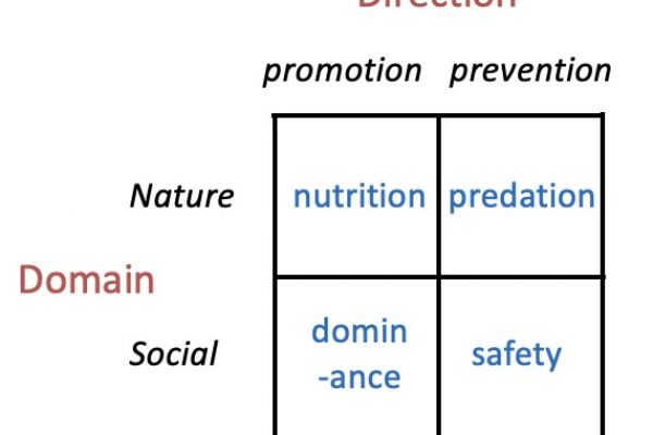 The intersection of evolutionary domain and motivation