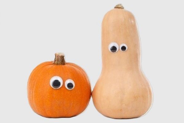 Feeling Gourd and Looking Gourd