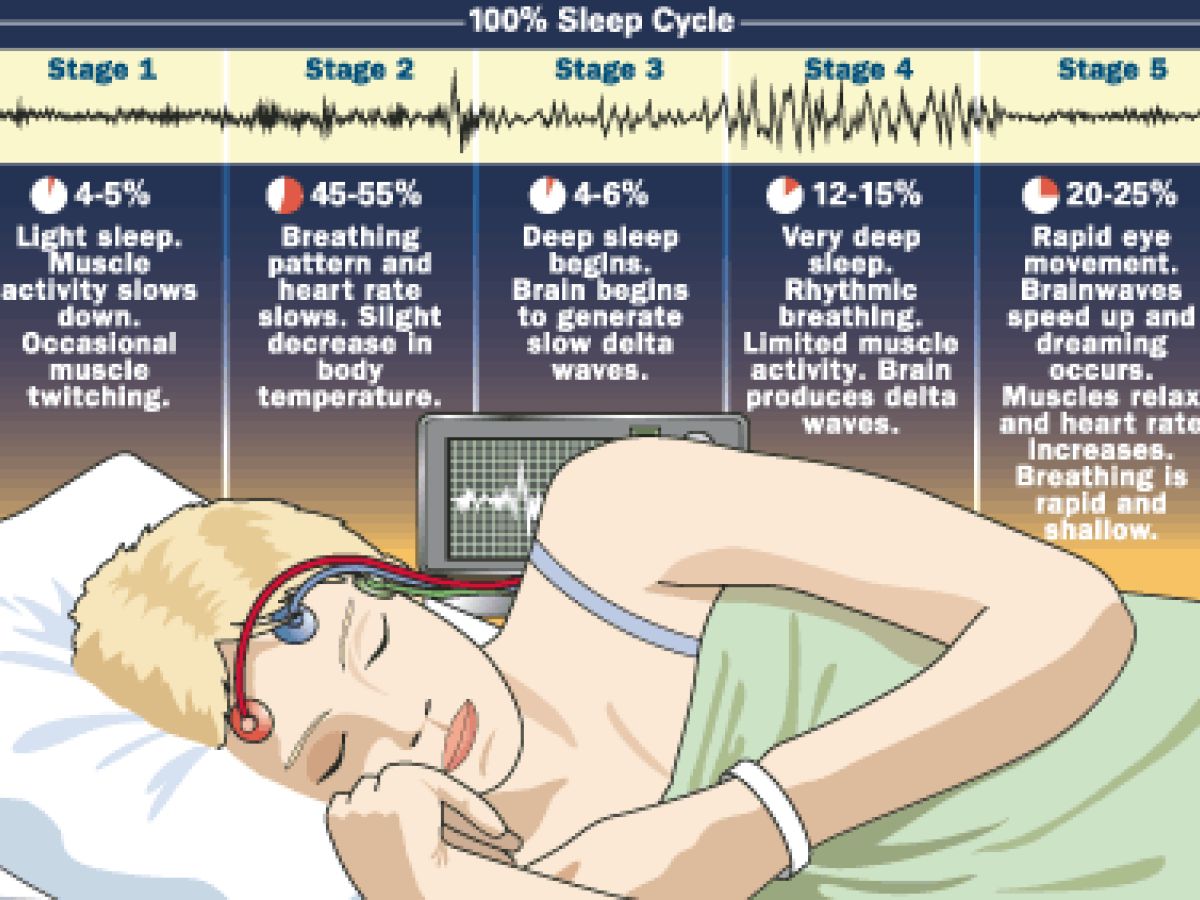 The Prefrontal Cortex During Sleep | Psychology Today