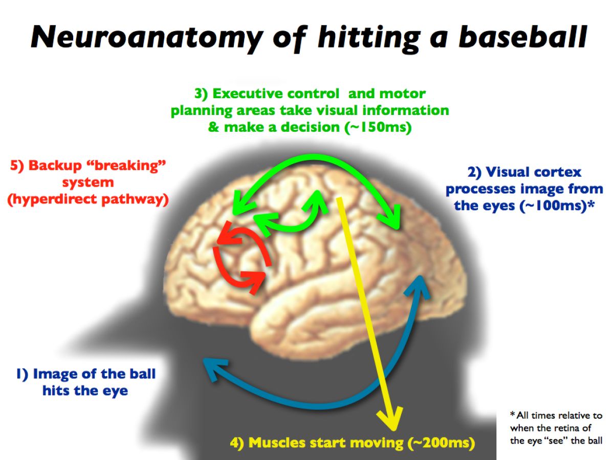 Forget Chess, Meet The Ultimate Brain Challenge | Psychology Today, image size:1200x900