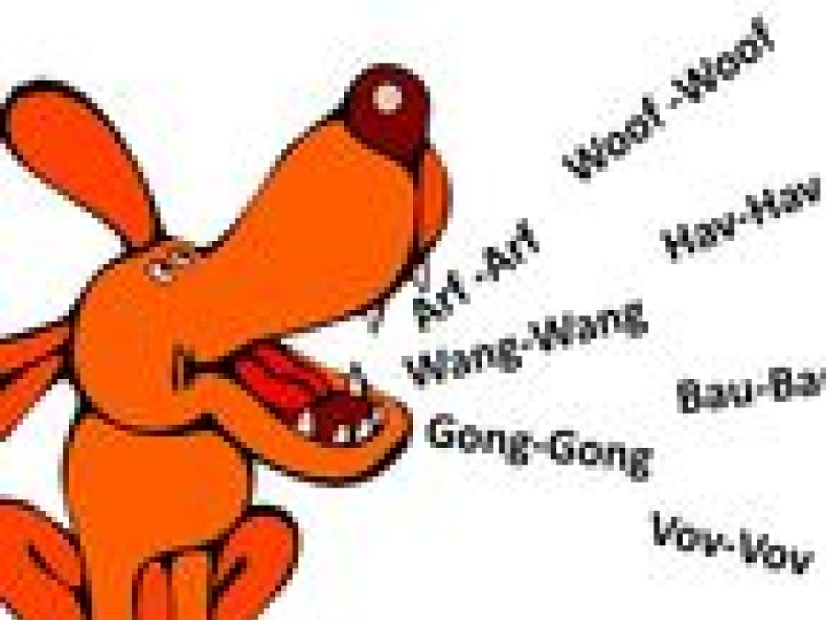 por qué mi perro hace un sonido de graznido