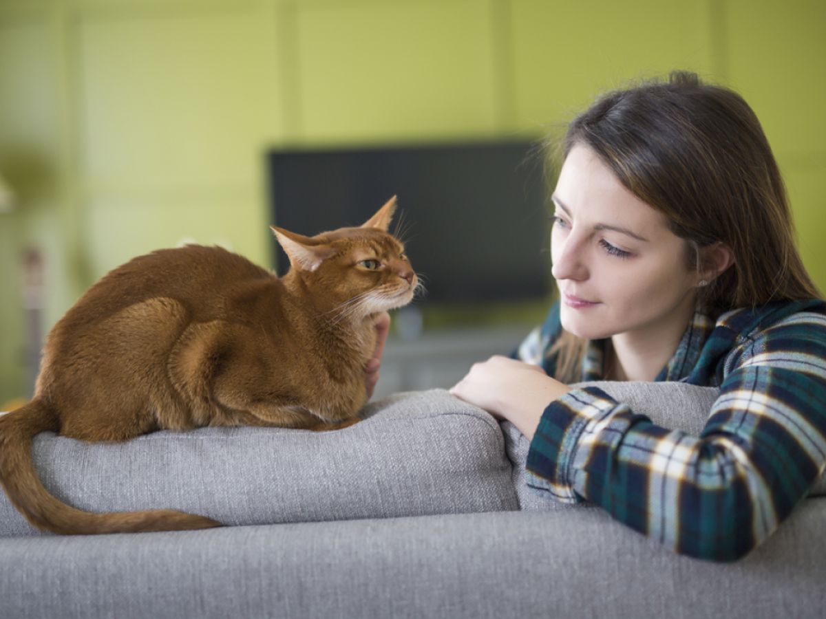 Cats and Child Mental Health: What Parents Should Know