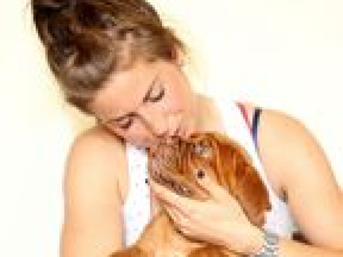 The Data Says &ldquo;Don&rsquo;t Hug the Dog!&rdquo; | Psychology Today
