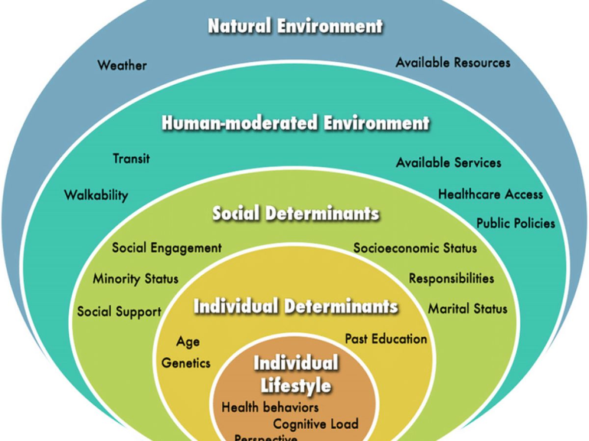 Social Ecological Theory Of Health